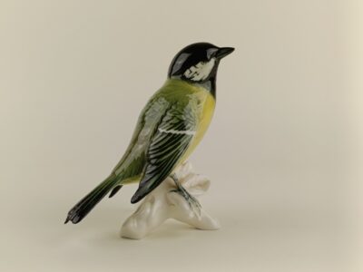 Sýkora koňadra - Volkstedt